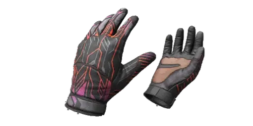 Gloves Neuro