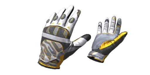 Gloves Champion